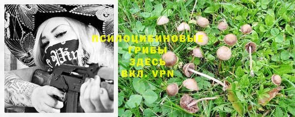 таблы Беломорск