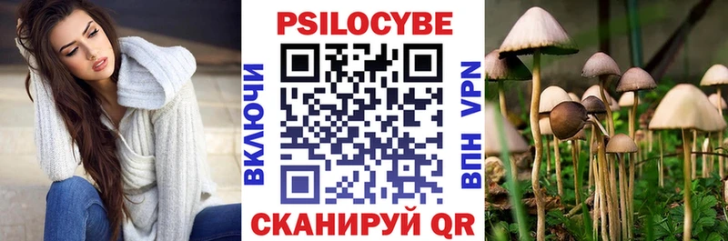 купить наркотик  Михайловск  darknet Telegram  Галлюциногенные грибы GOLDEN TEACHER 