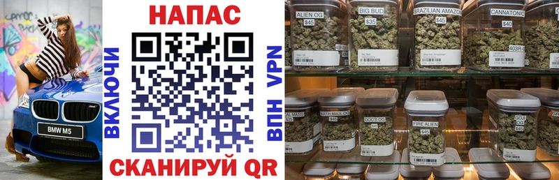 Марихуана THC 21%  купить закладку  Михайловск 